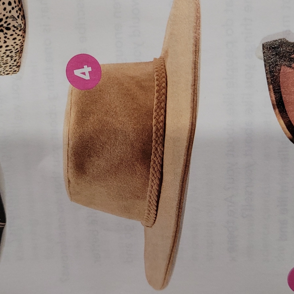 New in bag ASN Harper Felt Hat